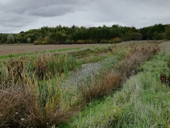 Galgebossen (Poperinge, Elverdinge, Vlamertinge) (Belgie)